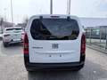 Fiat Doblo 1.5 d Doblo 130cv auto - thumbnail 7