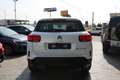 Citroen C5 Aircross 1.5 bluehdi Business s&s 130cv eat8 Con TELECAMERA White - thumbnail 6