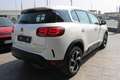 Citroen C5 Aircross 1.5 bluehdi Business s&s 130cv eat8 Con TELECAMERA White - thumbnail 5