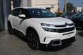 Citroen C5 Aircross 1.5 bluehdi Business s&s 130cv eat8 Con TELECAMERA Alb - thumbnail 4
