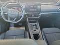 CUPRA Formentor 2.0 TSI 190 PS DSG 4Drive Schwarz - thumbnail 10