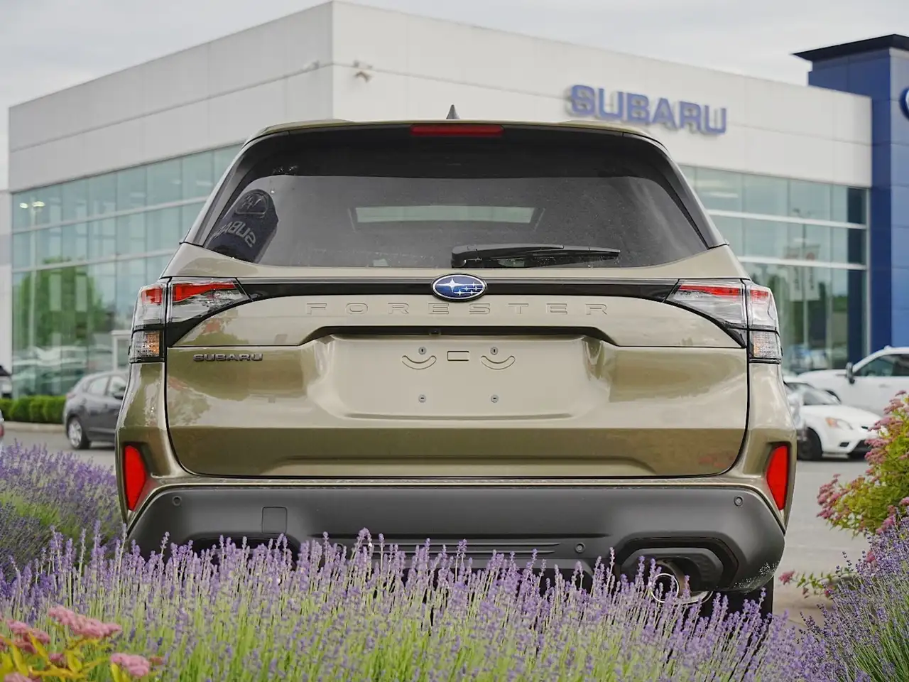 Subaru Forester photo Subaru Forester