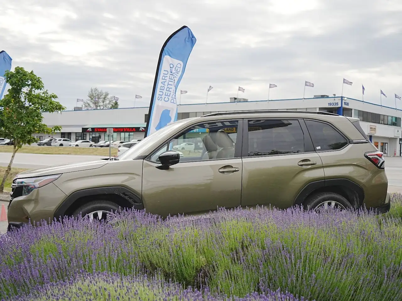 Subaru Forester photo Subaru Forester