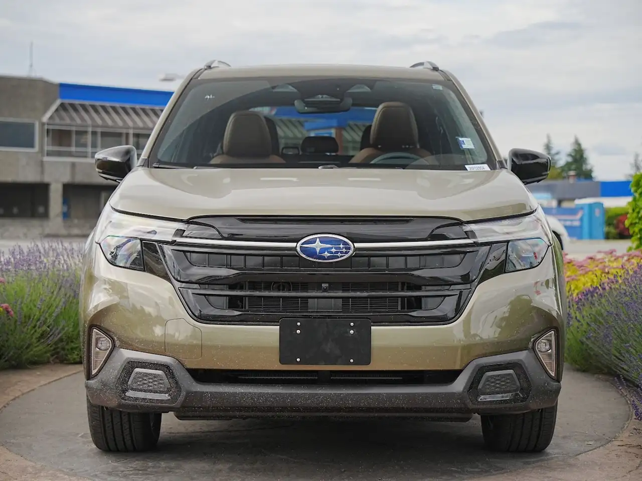 Subaru Forester photo Subaru Forester