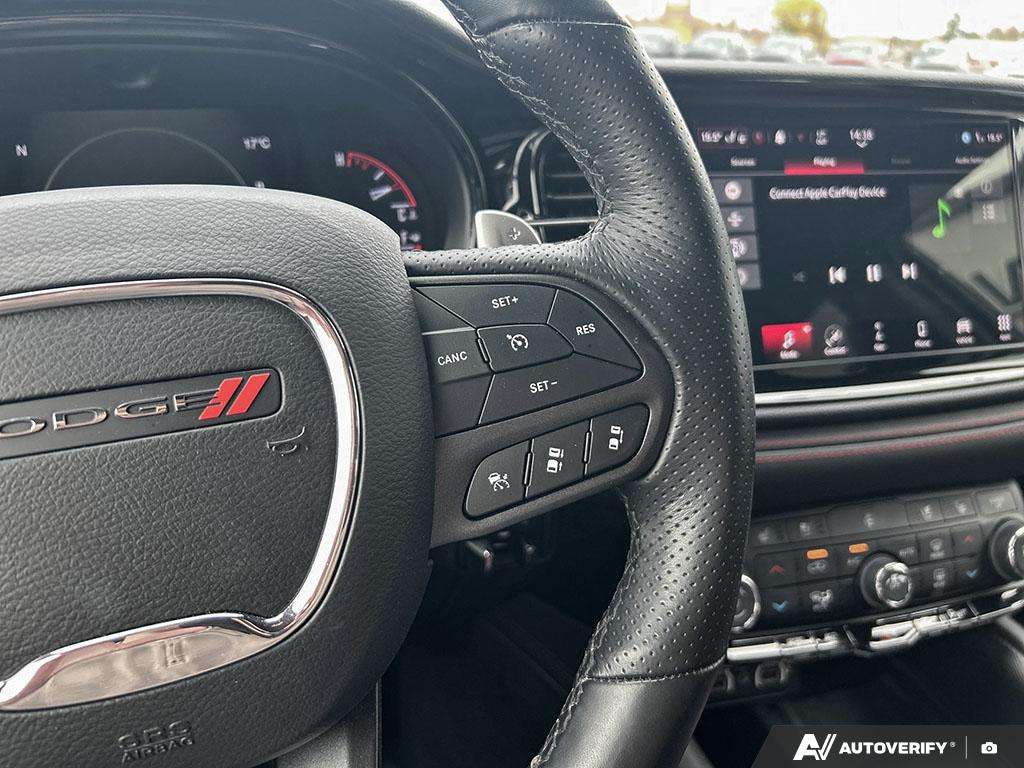 Image 15
