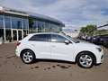 Audi Q3 35 TFSI advanced * AHK * KAMERA Weiß - thumbnail 11