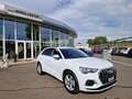 Audi Q3 35 TFSI advanced * AHK * KAMERA Weiß - thumbnail 3