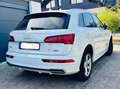 Audi Q5 Q5 Hybrid 50 TFSI e quattro S tronic sport Weiß - thumbnail 3