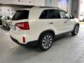 Kia Sorento Platinum Edition 4WD Automatik Leder Nav bijela - thumbnail 7