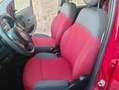 Fiat Panda Panda 1.2 Pop 69cv E6 Ottimo Stato! Rouge - thumbnail 8