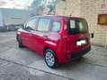 Fiat Panda Panda 1.2 Pop 69cv E6 Ottimo Stato! Rouge - thumbnail 5