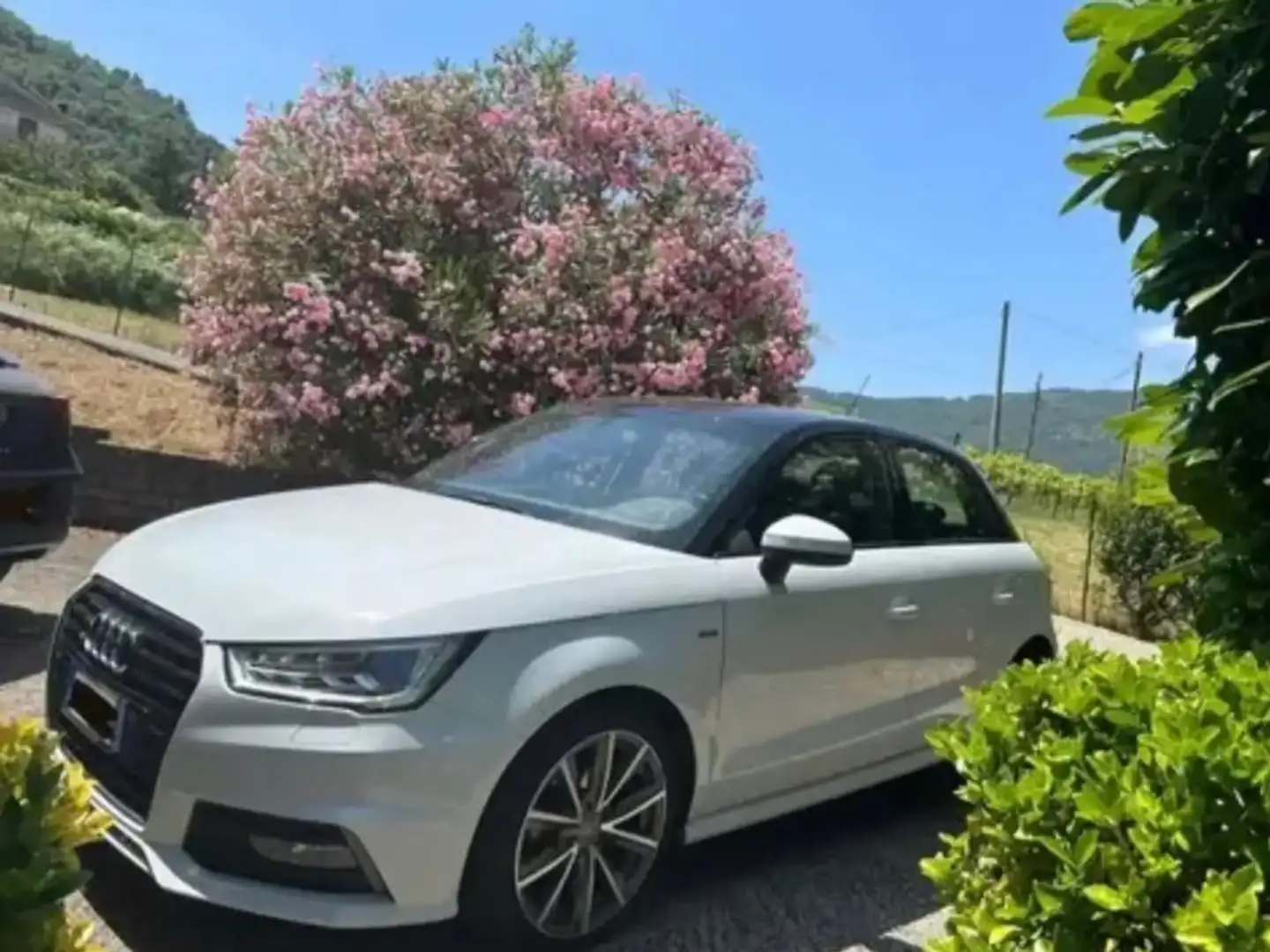 Audi A1 A1 Sportback 1.4 tdi Sport s-tronic Bianco - 1