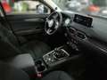 Mazda CX-5 D150 AWD EXCLUSIVE LINE Czerwony - thumbnail 14
