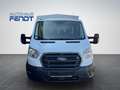 Ford Transit Pritsche 350L3 4X4 AHKStandh.Sitz29Plane Weiß - thumbnail 7