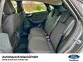 Ford Puma Titanium 1.0 EcoBoost Mild Hybrid Grau - thumbnail 7