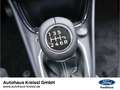 Ford Puma Titanium 1.0 EcoBoost Mild Hybrid Gris - thumbnail 19