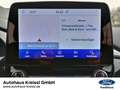 Ford Puma Titanium 1.0 EcoBoost Mild Hybrid Grau - thumbnail 17