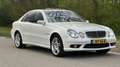 Mercedes-Benz E 55 AMG AMG -E55-V8 - Youngtimer Weiß - thumbnail 3