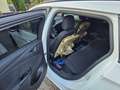 Opel Astra Astra 1.6 D (CDTI DPF ecoFLEX) Start/Stop Edition Weiß - thumbnail 8