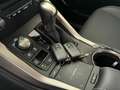 Lexus NX 300 H*BUSINESS LINE*ACC*KAMERA*LEDER*NAVI*KEY Gris - thumbnail 21
