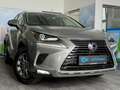 Lexus NX 300 H*BUSINESS LINE*ACC*KAMERA*LEDER*NAVI*KEY Gris - thumbnail 28