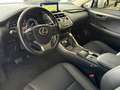 Lexus NX 300 H*BUSINESS LINE*ACC*KAMERA*LEDER*NAVI*KEY Gris - thumbnail 10