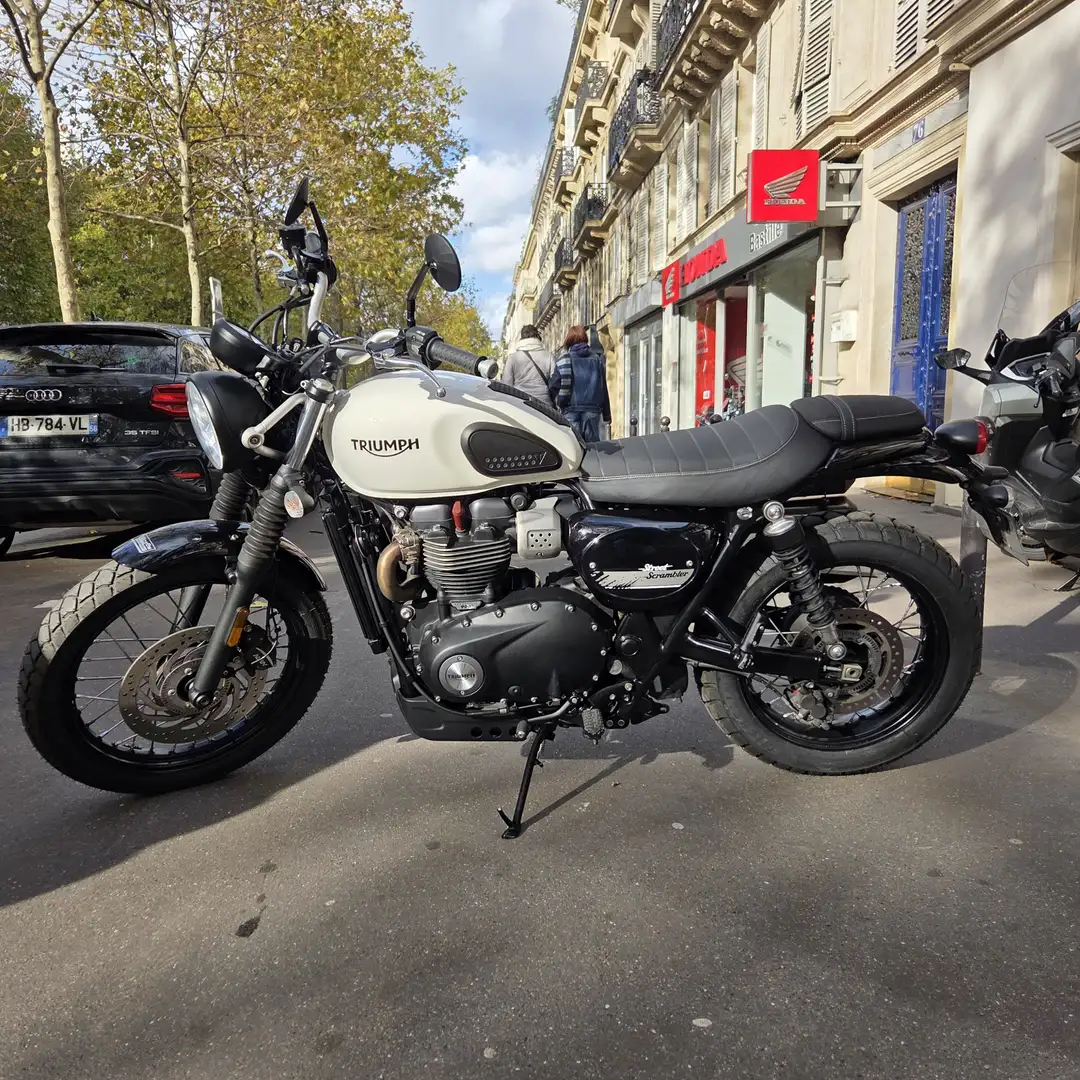 Triumph Scrambler Blanc - 1
