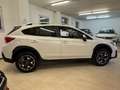 Subaru XV 1.6i Style Navi-Aut-My19 4x4-Unipro-km12.000 Garan Blanc - thumbnail 4