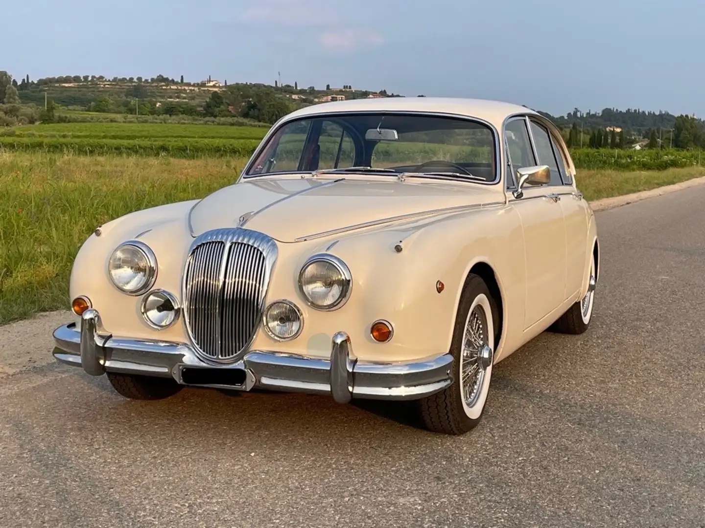Daimler V8 2.5 Blanco - 1