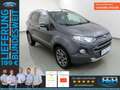 Ford EcoSport 1.0 EcoB Titanium Komfort/WinterPaket Gris - thumbnail 1