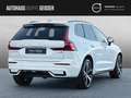 Volvo XC60 B5 AWD Plus Dark AHK ACC BLIS SD Weiß - thumbnail 7
