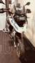 BMW R 1200 GS R 1200 GS Weiß - thumbnail 3