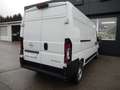 Opel Movano Movano Elektro 110kWh 35+ L3H2 Weiß - thumbnail 8