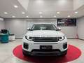 Land Rover Range Rover Evoque Range Rover Evoque I 2016 5p 2.0 td4 SE 150cv auto Bianco - thumbnail 1