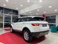 Land Rover Range Rover Evoque Range Rover Evoque I 2016 5p 2.0 td4 SE 150cv auto Bianco - thumbnail 3