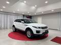 Land Rover Range Rover Evoque Range Rover Evoque I 2016 5p 2.0 td4 SE 150cv auto Bianco - thumbnail 6