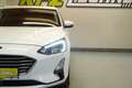 Ford Focus Turnier 1,5 ÉcoBl. "AHK*NAVI*TEMP*R-KAM" Weiß - thumbnail 10