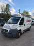 Fiat Ducato - thumbnail 1
