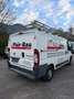 Fiat Ducato - thumbnail 4