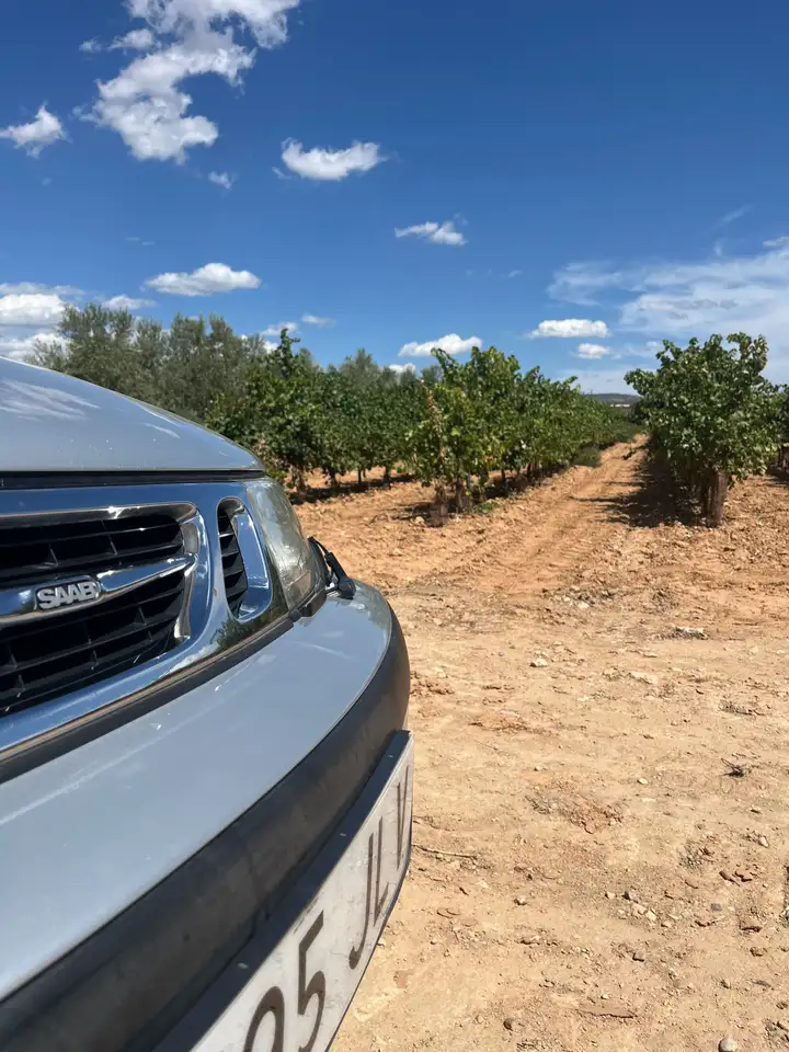 Saab 9-3 2.0 Turbo SE Aut. SE, foto 3