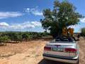 Saab 9-3 9-3 2.0 Turbo SE Aut. SE Plateado - thumbnail 6