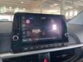 Kia Picanto Picanto 1.0 12V 5 porte Urban - thumbnail 12