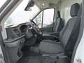 Ford Transit FT 350 Chasis Cabina 2.0 EcoBlue L3 Trend Blanco - thumbnail 10