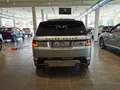 Land Rover Range Rover Sport 3.0 SDV6 249 CV HSE Dynamic Argento - thumbnail 5