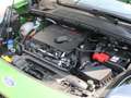 Ford Puma ST X 1.5 EB Performance Paket Panoramadach zelena - thumbnail 13