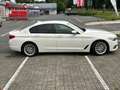 BMW 530 5er Plug-In-Hybrid 530e Aut. Luxury Line Blanc - thumbnail 12