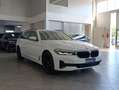 BMW 520 520d 48V Touring Business*SEDILI RISCALDATI*TELEC Wit - thumbnail 3