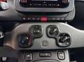 Fiat Panda City Life Hybrid 1.0 Gse 51kw (70CV) Azul - thumbnail 13