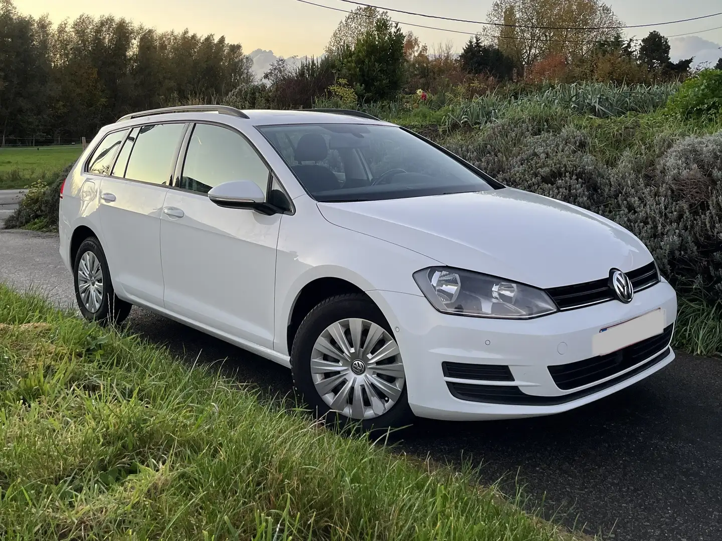 Volkswagen Golf Variant Golf Variant 1.4 TSI BlueMotion Trendline Wit - 1