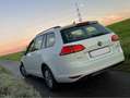 Volkswagen Golf Variant Golf Variant 1.4 TSI BlueMotion Trendline Wit - thumbnail 7